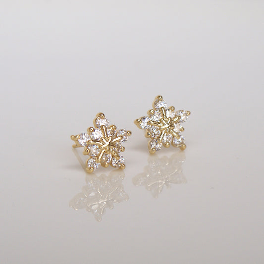 Snowflake Zircon Stud Earrings (FE0011)